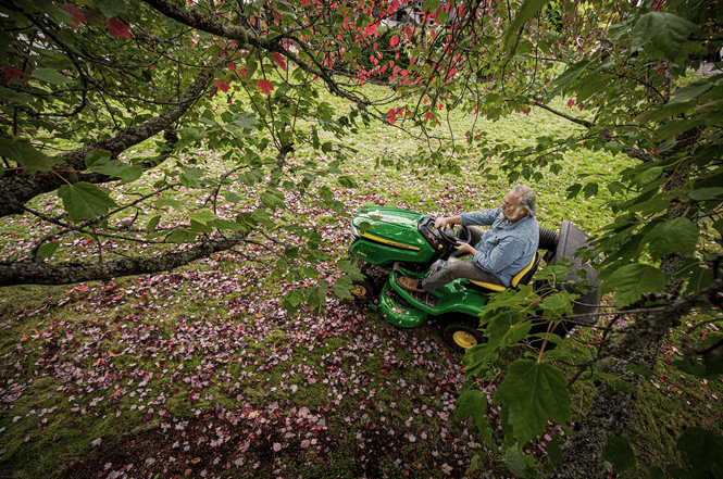 3 Fall Projects to Boost Your Backyard Game